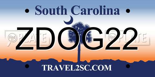 ZDOG22 South Carolina License Plate