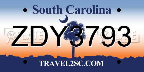 ZDY3793 South Carolina License Plate