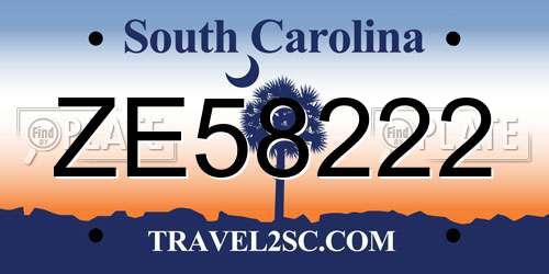 ZE58222 South Carolina License Plate