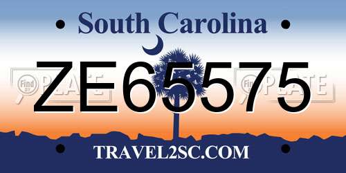 ZE65575 South Carolina License Plate
