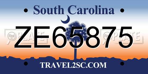 ZE65875 South Carolina License Plate