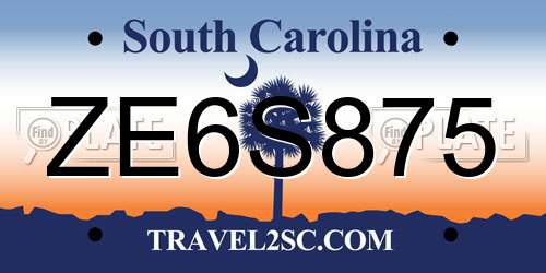 ZE6S875 South Carolina License Plate