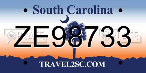 ZE98733 South Carolina License Plate