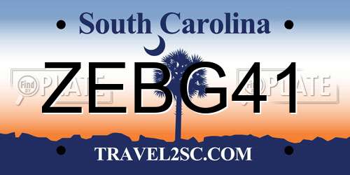 ZEBG41 South Carolina License Plate