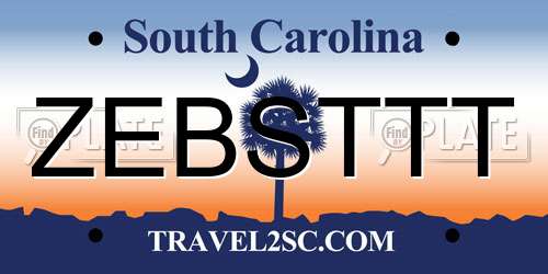 ZEBSTTT South Carolina License Plate