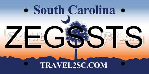 ZEGSSTS South Carolina License Plate