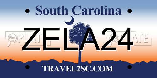 ZELA24 South Carolina License Plate