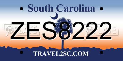 ZES8222 South Carolina License Plate
