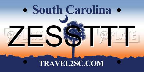 ZESSTTT South Carolina License Plate