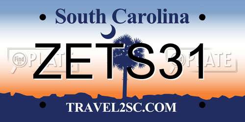 ZETS31 South Carolina License Plate
