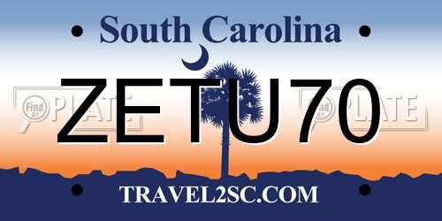 ZETU70 South Carolina License Plate