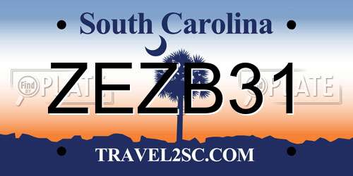 ZEZB31 South Carolina License Plate