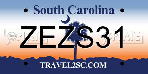 ZEZS31 South Carolina License Plate