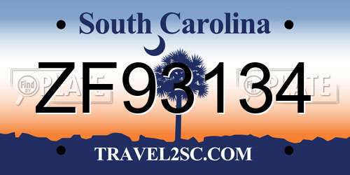 ZF93134 South Carolina License Plate