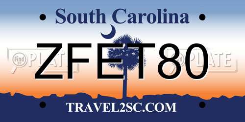 ZFET80 South Carolina License Plate