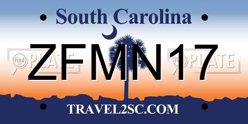 ZFMN17 South Carolina License Plate