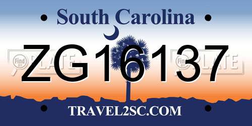 ZG16137 South Carolina License Plate