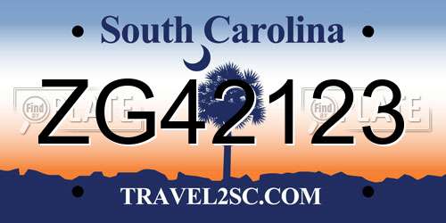 ZG42123 South Carolina License Plate