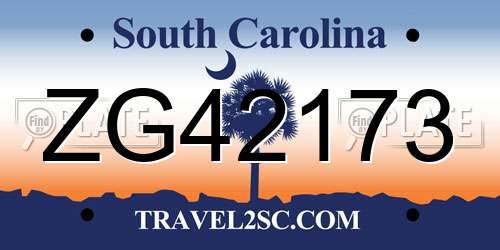 ZG42173 South Carolina License Plate