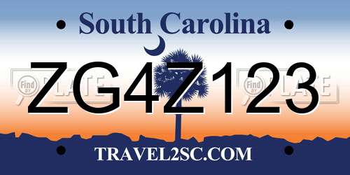 ZG4Z123 South Carolina License Plate