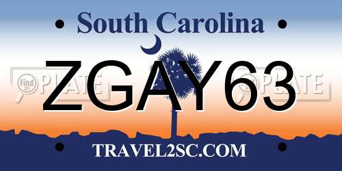 ZGAY63 South Carolina License Plate