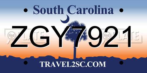 ZGY7921 South Carolina License Plate