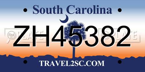 ZH45382 South Carolina License Plate