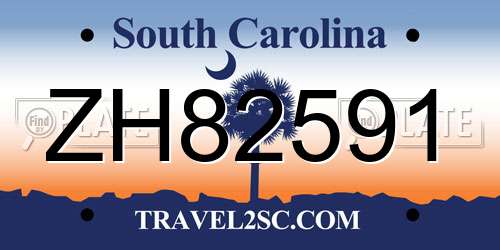 ZH82591 South Carolina License Plate