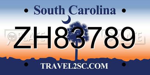 ZH83789 South Carolina License Plate