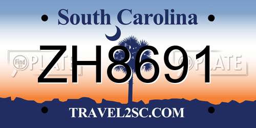 ZH8691 South Carolina License Plate
