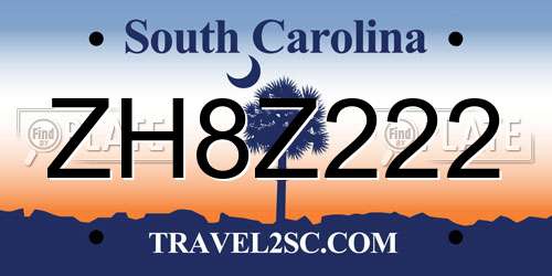 ZH8Z222 South Carolina License Plate