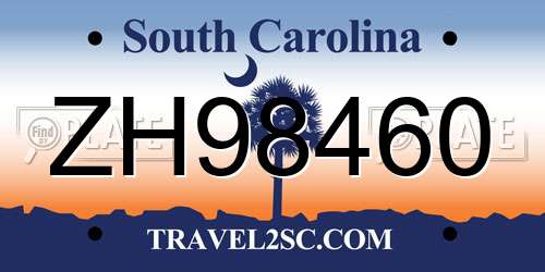 ZH98460 South Carolina License Plate