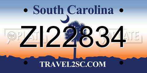 ZI22834 South Carolina License Plate