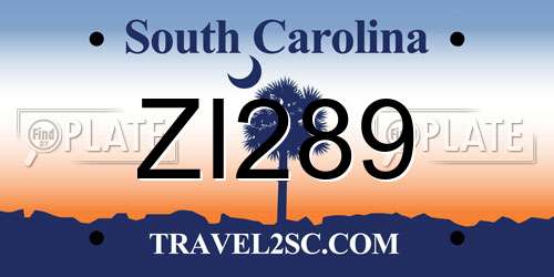 ZI289 South Carolina License Plate