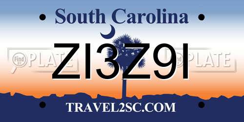 ZI3Z9I South Carolina License Plate
