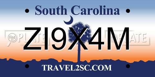 ZI9X4M South Carolina License Plate