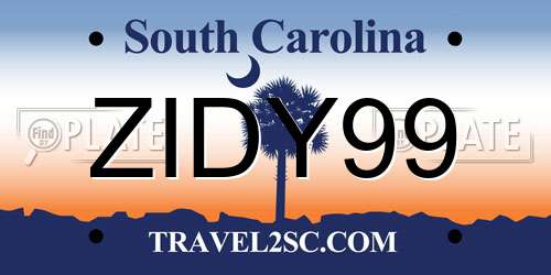 ZIDY99 South Carolina License Plate