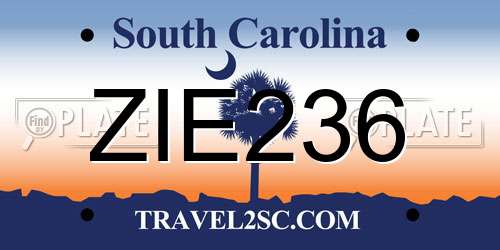 ZIE236 South Carolina License Plate
