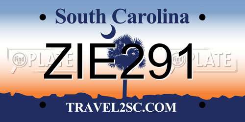 ZIE291 South Carolina License Plate