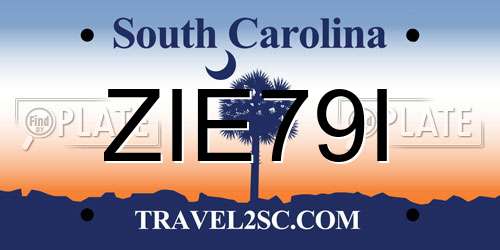 ZIE79I South Carolina License Plate