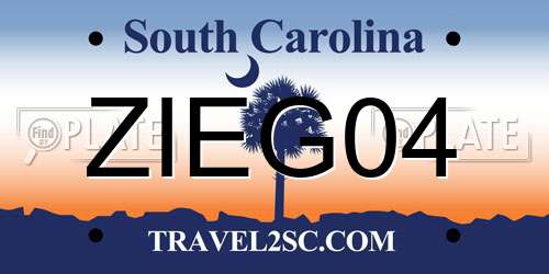 ZIEG04 South Carolina License Plate