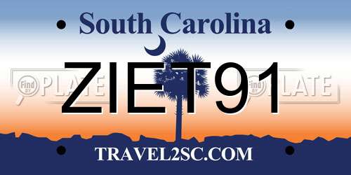 ZIET91 South Carolina License Plate