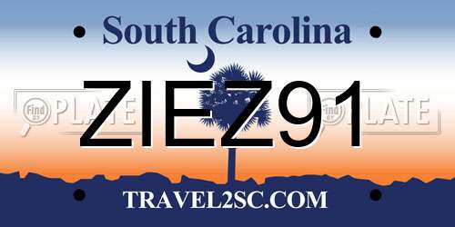 ZIEZ91 South Carolina License Plate