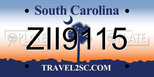 ZII9115 South Carolina License Plate