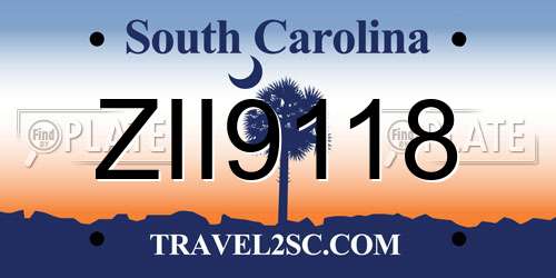 ZII9118 South Carolina License Plate