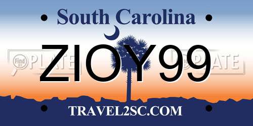 ZIOY99 South Carolina License Plate