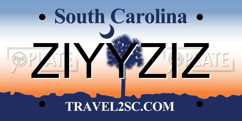 ZIYYZIZ South Carolina License Plate