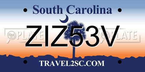ZIZ53V South Carolina License Plate