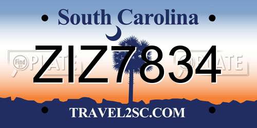 ZIZ7834 South Carolina License Plate