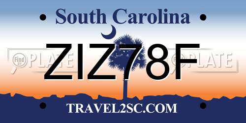 ZIZ78F South Carolina License Plate